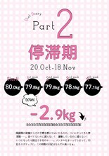 書籍「4カ月でここまで痩せました！餅田コシヒカリのダイエット日記」のイメージ。