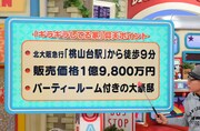 「発見！仰天!!プレミアもん!!!土曜はダメよ！」のワンシーン。(c)読売テレビ
