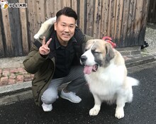 FUJIWARA藤本と犬。