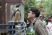 ロバート馬場 (c)メ～テレ