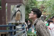 ロバート馬場 (c)メ~テレ