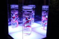 「超くっきーランド in 台北」の様子。