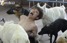 犬に体を舐められるアインシュタイン河井。