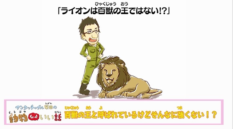 「アンタッチャブル柴田の動物ちょっといい話」のワンシーン。