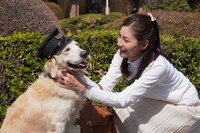 「天才バカボン3 ～愛と青春のバカ田大学～」のワンシーン。(c)日本テレビ