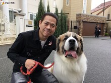 FUJIWARA原西と犬。