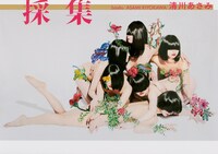美女採集作品集「清川あさみ 採集」