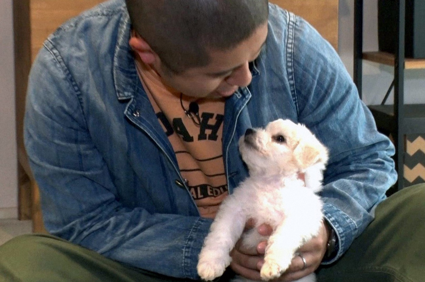 「トコトン掘り下げ隊！生き物にサンキュー!!SP」にて、小型犬のビションフリーゼと触れ合うハライチ澤部。(c)TBS