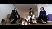 動画「意識高い系IT社長【瀬良明正】×デーブ・スペクター『対談2：子犬（コワン）キングスペース」のワンシーン。