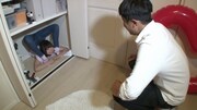 「～大人が本気で遊んだら～ ※よい子はマネしないでね」のワンシーン。(c)日本テレビ