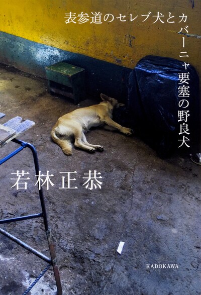 「表参道のセレブ犬とカバーニャ要塞の野良犬」表紙