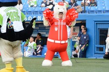 グラウンドに現れたひょっこりはん。