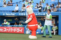 ボックスティッシュを使った“ひょっこり”を披露するひょっこりはん。