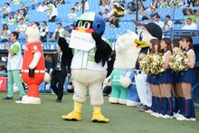 ひょっこりはんが現れたグラウンドを「かおすじょうたい」と表現するつば九郎。