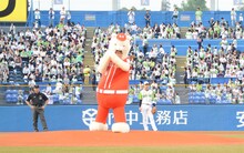 ひょっこりはんによる始球式の様子。