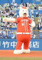 ひょっこりはん