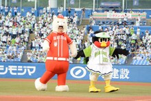 つばみに手を引かれてマウンドから去るひょっこりはん