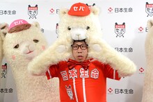 ひょっこりはん