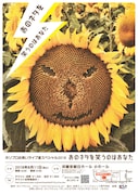 「ホリプロお笑いライブ夏スペシャル2018 あのネタを笑うのはあなた」チラシ
