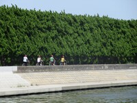 「チーム茨城」のロケのワンシーン。(c)南海放送