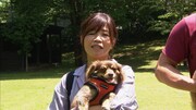 「新どうぶつ奇想天外！」にて愛犬のパコ美と共に伊豆を巡る、大久保佳代子。(c)TBS