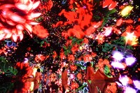 「Floating in the Falling Universe of Flowers」