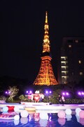 ライトアップされた東京タワーを見上げる「CanCam×Tokyo Prince Hotel Night Pool」。