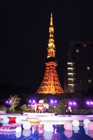 ライトアップされた東京タワーを見上げる「CanCam×Tokyo Prince Hotel Night Pool」。