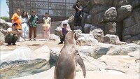 動物園ロケのワンシーン。(c)フジテレビ