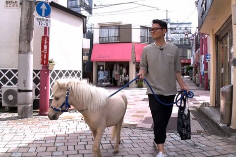 ナイツ土屋とミニチュアホースのマックイーン。(c)TBS
