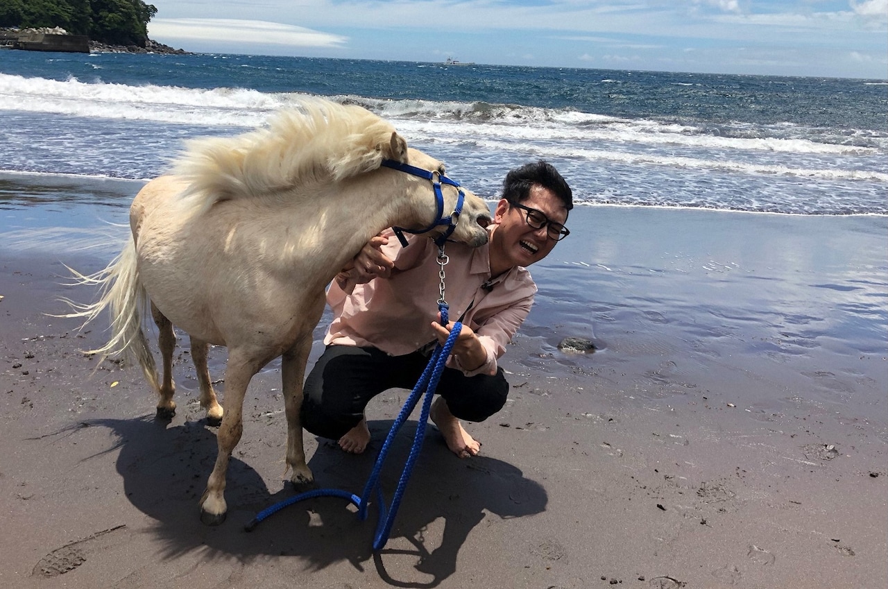 ナイツ土屋が愛馬と伊豆旅行、ジャンポケ太田は犬同伴キャンプ