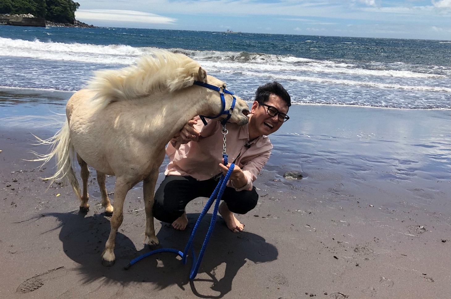 ミニチュアホースのマックイーンと伊豆旅行を繰り広げるナイツ土屋。(c)TBS
