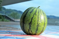 スイカ (c)静岡朝日テレビ