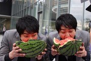 スイカを食べるダイタク。(c)静岡朝日テレビ