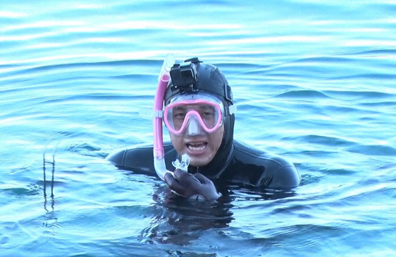 オードリー春日、ニュージーランドの海でウニ捕獲に挑む