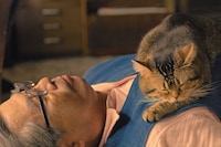 「ねことじいちゃん」より。