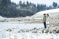 映画「ミッドナイト・バス」より。