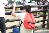 動物を見つめるごろうさん。