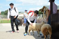 羊と戯れる学生服の2人組。