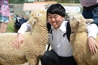 羊と戯れる学生服の男。