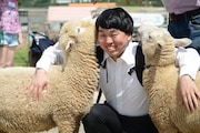 羊と戯れる学生服の男。