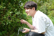 ブルーベリーを摘むジェラードン海野。