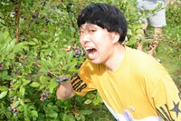 ブルーベリーを摘むジェラードンかみちぃ。