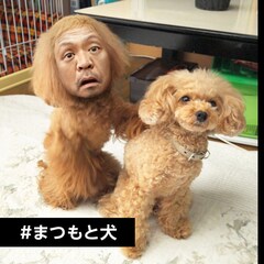 断る理由なかった 野性爆弾くっきー Hitoshi Matsumoto Presents ドキュメンタル 防御力0 でも出続けるわけ お笑いナタリー 特集 インタビュー 断る理由なかった 野性爆弾くっきー Hitoshi Matsumoto Presents ドキュメンタル 防御力0 でも出続けるわけ お笑いナタリー 特集 インタビュー