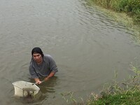 ロッチ中岡 (c)フジテレビ