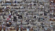 「のぞき見ドキュメント 100カメ」のワンシーン。(c)NHK