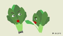 「野菜カミナリの6秒漫才」（ほうれん草）より。