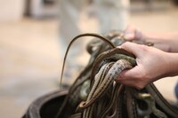 「FREEZE」舞台裏の様子。