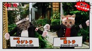 「今日から俺は!!」PR動画のワンシーン。