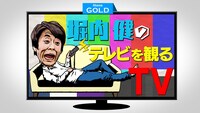 「堀内健のテレビを観るTV」ロゴ